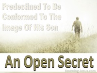 An Open Secret